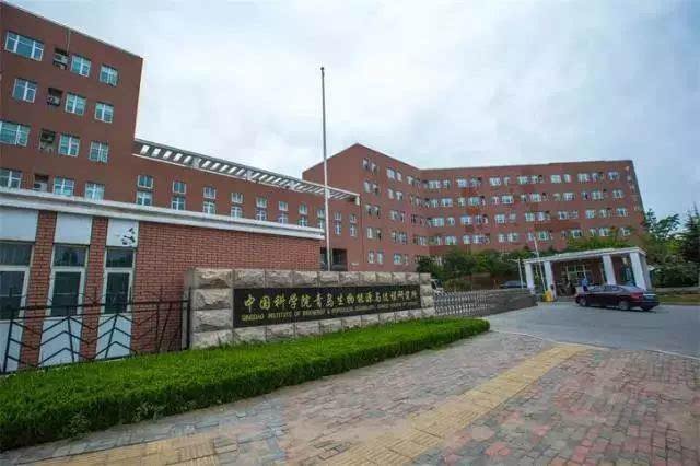 timg (7).jpg timg (7).jpg