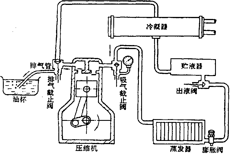 圖片5.png 圖片5.png