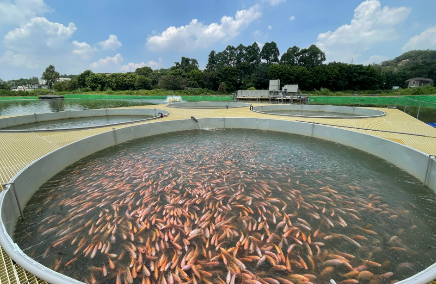 1722937259158.png 1722937259158.png